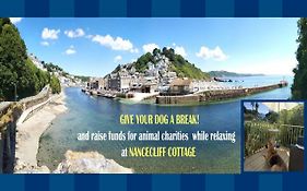 Dog Friendly Nancecliff Cottages